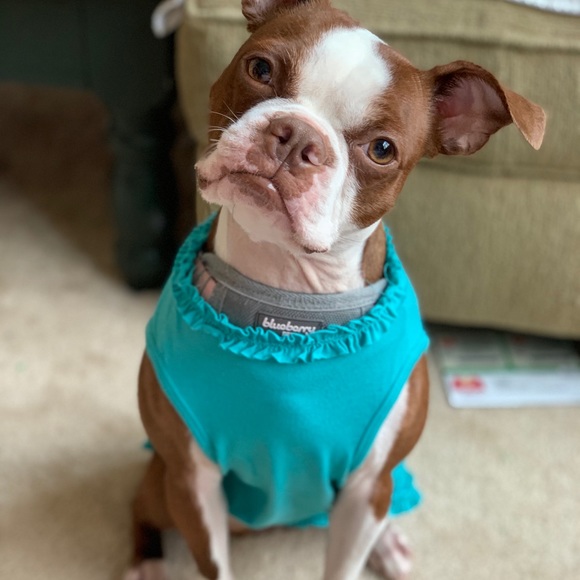 Meet your Posher, Erin - Picture 3 of 6